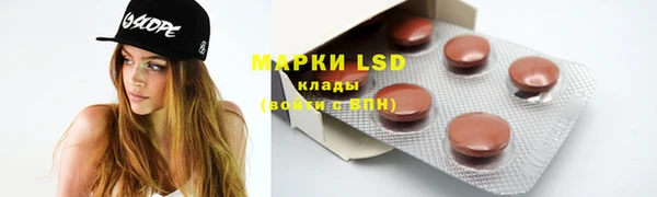 прущие грибы Арсеньев