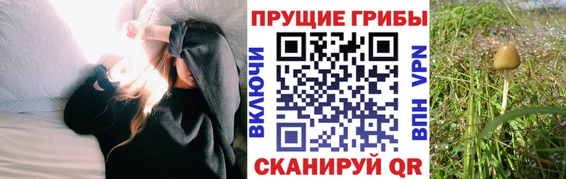 MEGA сайт Артёмовский Галлюциногенные грибы Psilocybe